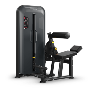 Ab / Low Back