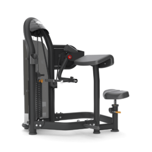 Aura Arm Curl