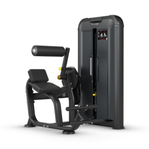 Back Extension