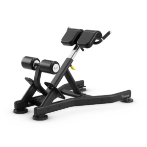 Back Extension Bench
