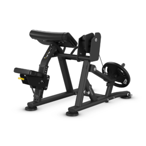 Biceps Curl
