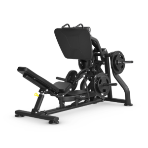 Leg Press / Calf Press