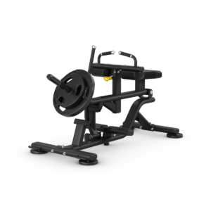 Seated Calf Raise