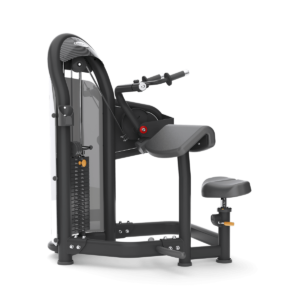 Aura Tricep Extension