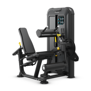Leg Extension / Leg Curl