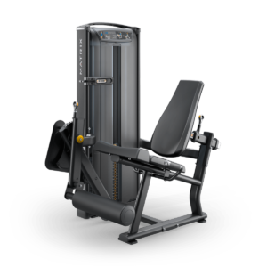 Versa Leg Extension
