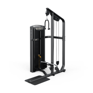 Versa Bicep / Tricep