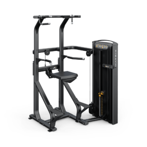 Versa Chin / Dip Assist